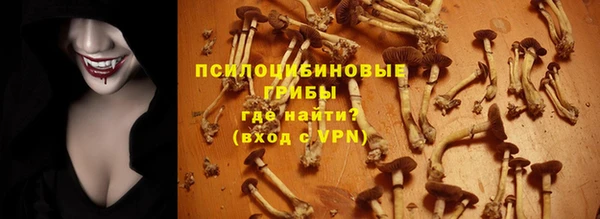 бошки Бородино