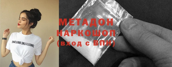 ГАЛЛЮЦИНОГЕННЫЕ ГРИБЫ Сосновый Бор