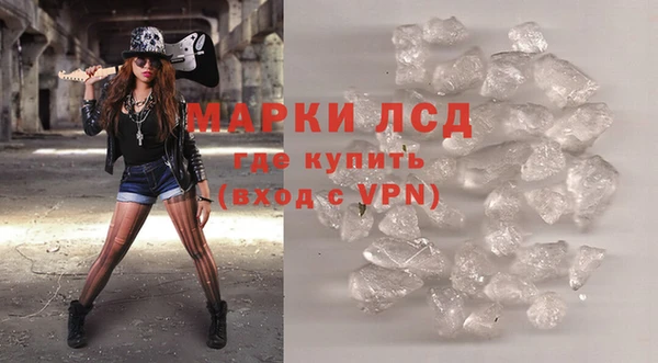 бошки Бородино
