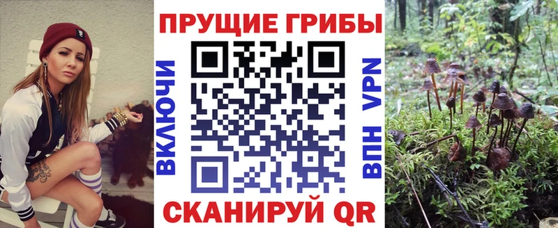 даркнет сайт  Северобайкальск  Псилоцибиновые грибы мухоморы 