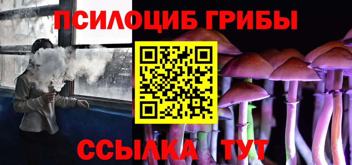 Псилоцибиновые грибы ЛСД Северобайкальск