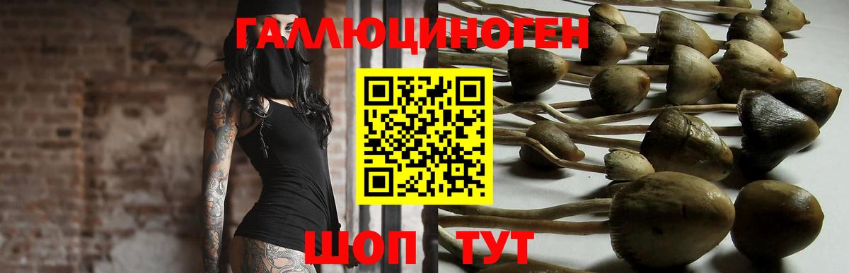 Северобайкальск  Псилоцибиновые грибы MAGIC MUSHROOMS  Вход с VPN  купить   Псилоцибиновые грибы Cubensis 