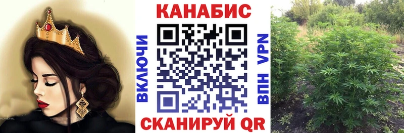 Конопля гибрид  нарко площадка какой сайт  Северобайкальск 